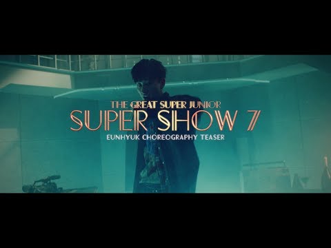 SUPER JUNIOR WORLD TOUR SUPER SHOW 7_ Scene Stealer