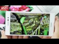 Видео-обзор смартфона Huawei Ascend P7