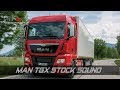 Man TGX Stock Sound by Paulnice [1.28.x]