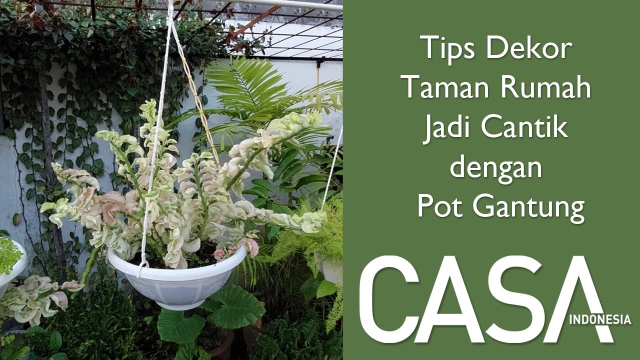 Tips Percantik Taman Rumah Pakai Pot Gantung #CASAHacks #CASAIndonesiaTips