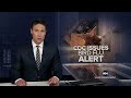 CDC issues urgent alert bird flu  - 02:24 min - News - Video