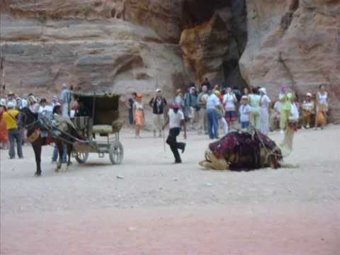 Taba, Sinai Excursions