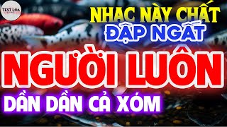 NHẠC TEST LOA 8D CỰC CHUẨN, Hòa Tấu Disco Remix Đập Ngất Người Luôn BASS CĂNG DẦN DẦN CẢ XÓM