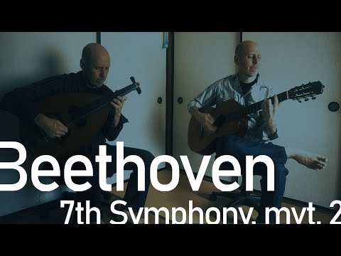 Paul N Dorosh - Beethovens 7th Symphony 2nd movt. (oud & guitar)