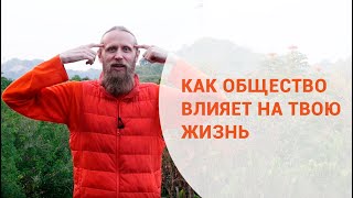 Как общество влияет на твою жизнь