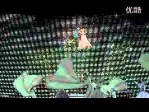 劉德華2008年演唱会