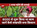 Bharatpur के किसान ने 8000 से शुरू किया ये काम अब महीने कमा रहा 1 Lakh | Farmers | Jackfruit