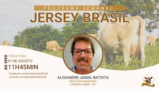 Programa Jersey Brasil - 01/08/2023
