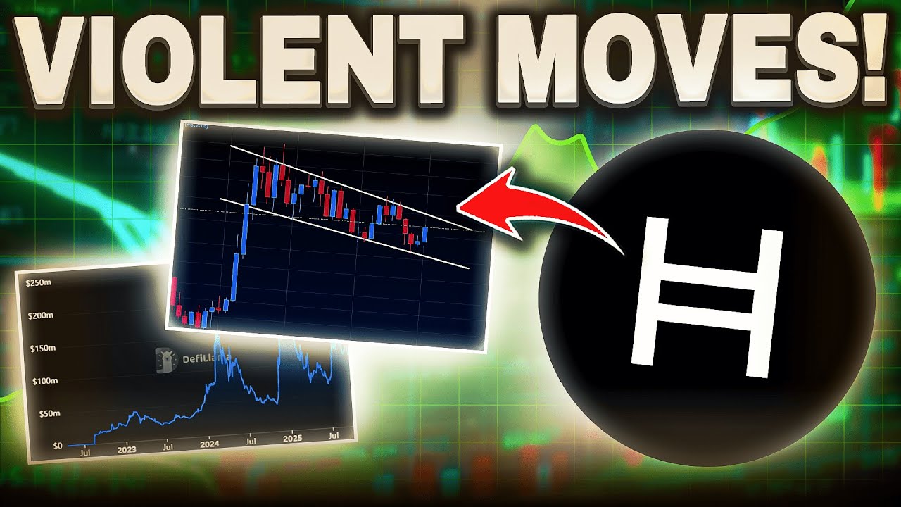 The Price of Hedera HBAR Is About To Go CRAZY | Huge DeFi News & More