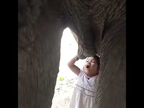 Three-year-old girl drinks milk from mother elephant. resurfacing video Three-year-old girl drinks milk from mother elephant. resurfacing video