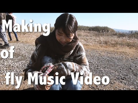 Making of fly Music Video