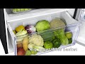 Samsung 415L Double Door Refrigerator : Review