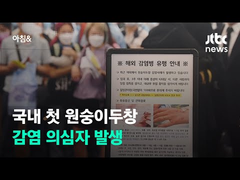 국내 첫 원숭이두창 감염 의심자 발생…인천공항 입국 / JTBC 아침&