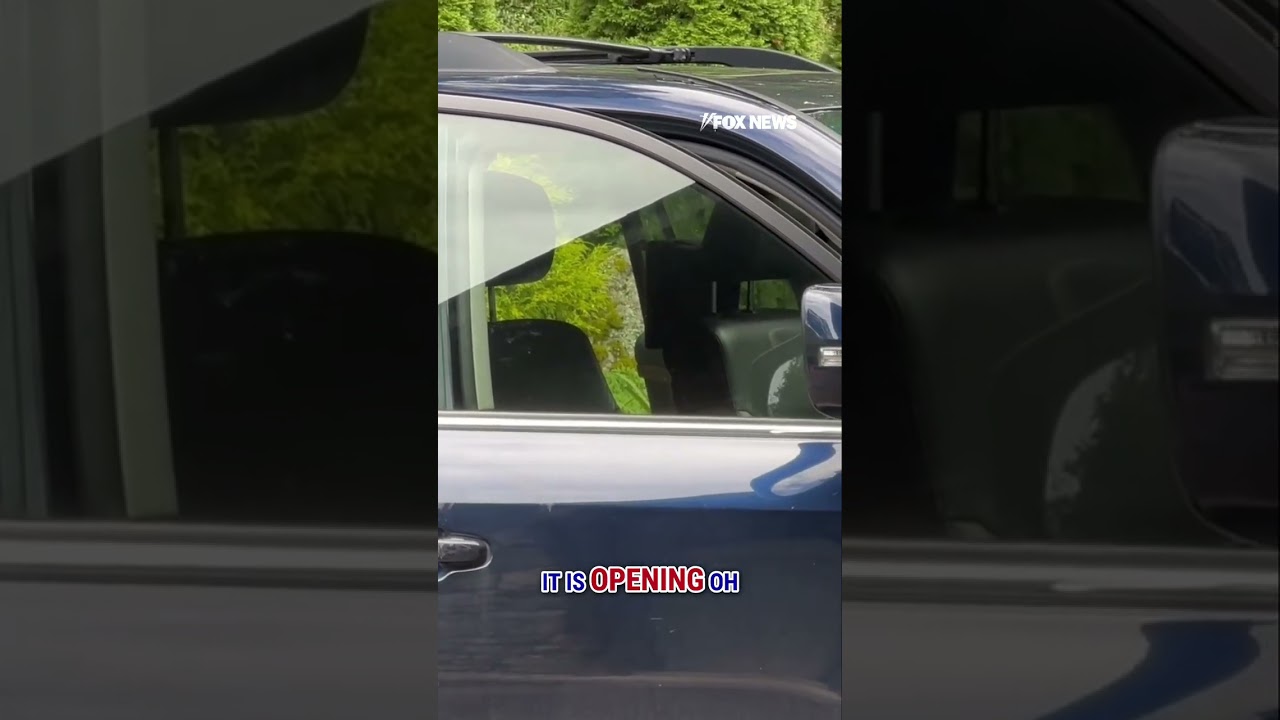 CLEVER BEAR: Black bear opens woman's car doors in driveway #shorts #wildlife #bear #car #crazy #us