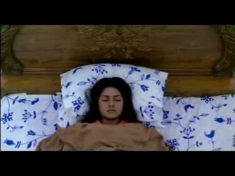 Third Person Singular Number'