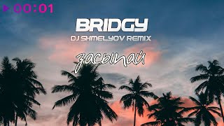 Bridgy — Засыпай | DJ Shmelyov Remix | Official Audio | 2024