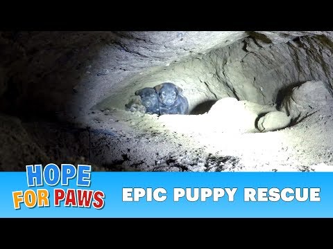 Epic puppy rescue - 18 feet into the earth!!! Dangerous Hope For Paws rescue!