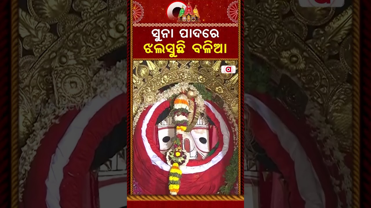 ସୁନା ପାଦରେ ଝଲସୁଛି ବଳିଆ Suna Besha 2026 | Suna Besa | Rath Yatra 2026 | Rath Jatra | Jay Jagannath