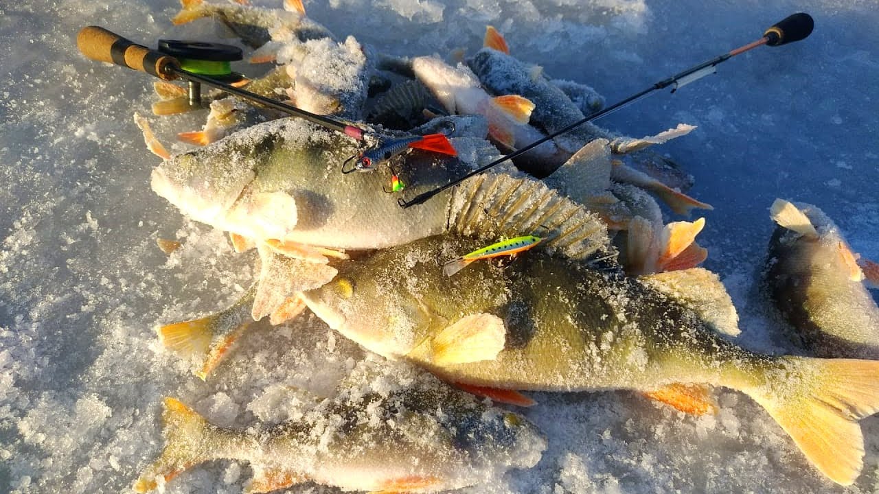 рыбалка на льду на окуня