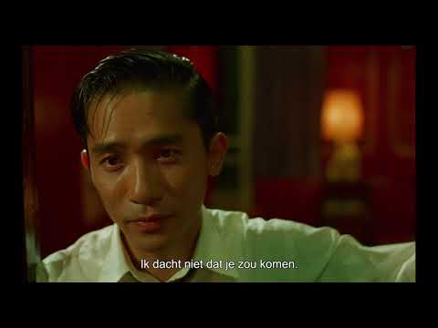 In the Mood for Love'