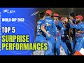 Cricket World Cup 2023: A Look At Top 5 Surprise Performances