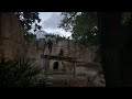 Watch gorillas react to total solar eclipse at Texas zoo  - 00:48 min - News - Video