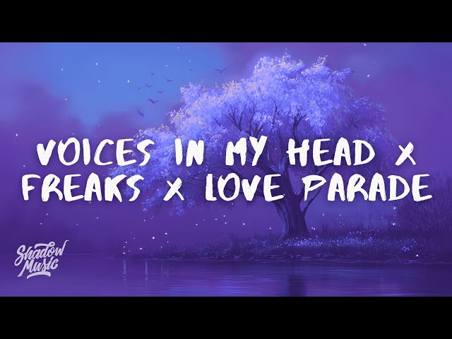 Voices In My Head x Freaks x Love Parade (Tiktok Remix)