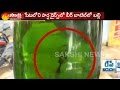 Shock to alcoholics, Lizard found at Beer Bottle in Suryapet - Watch Exclusive