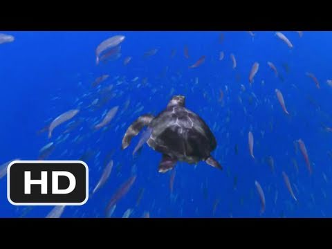 Turtle: The Incredible Journey'