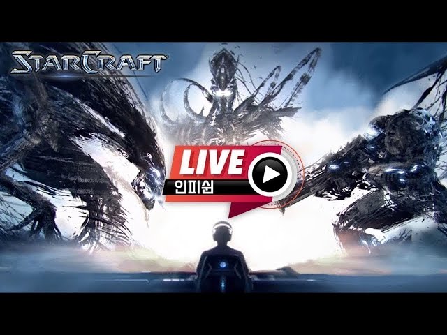25.07.09(수) 【 인피쉰 생방송 다시보기 】 스타 빨무 스타크래프트 Starcraft