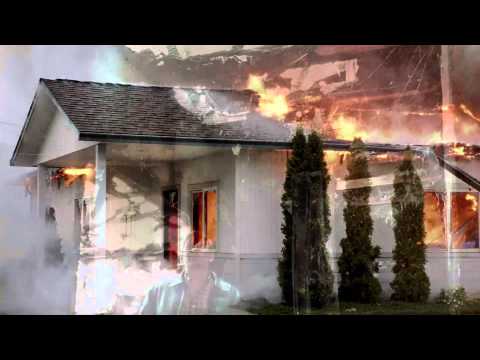 If a Tree Falls: A Story of the Earth Liberation Front'