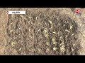 Farmers Protest News: शंभू बॉर्डर पर किसानों का प्रदर्शन जारी, किसानों ने की खेती | Aaj Tak  - 01:27 min - News - Video