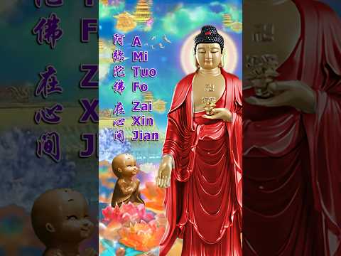 阿弥陀佛 在心间 AMITUOFO ZAI XIN JIAN – BUDDHIST MUSIC VIDEO