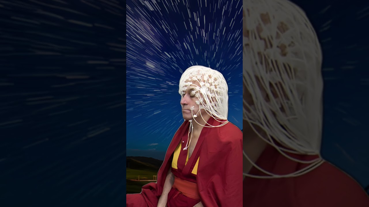 Four Principal Commitments of His Holiness the Dalai Lama: Why Compassion Wins?
