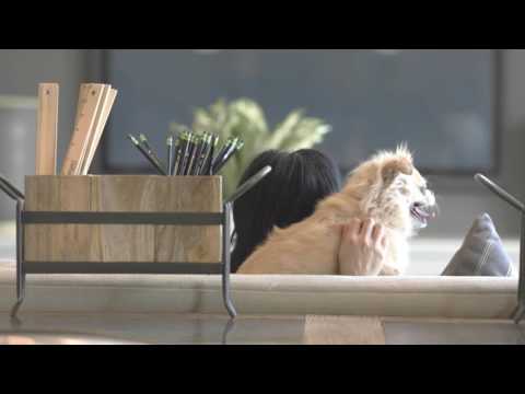 Taylor Morrison Sacramento – Live Your TradeBark – Ruff Life Taylor Morrison Sacramento – Live Your TradeBark – Ruff Life
