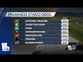 How a handicapper analyzes the Preakness