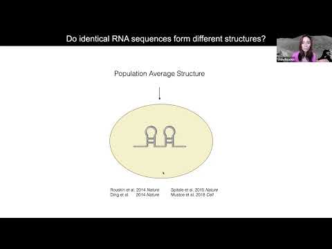 Webinar: Targeting RNA Structure as a Therapeutic Strategy