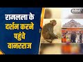 Ayodhya Ram Mandir में दिखा अनोखा नजारा, Ramlalla के दर्शन करने पहुंचे वानरराज, Video Viral