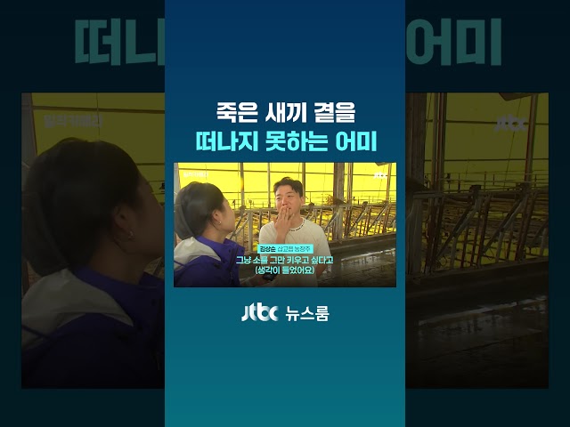 죽은 새끼 곁을 떠나지 못하는 어미 #JTBC #Shorts
