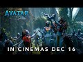 Avatar: The Way of Water release trailer and Australian Avatar Week video