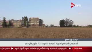 وزير التموين: ضوابط استلام القمح راعت توصيات لجنة تقصى الحقائق ...