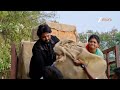 Kalavaari Kodalu Kanakamahalakshmi| Ep - 466| Webisode 02| Jan,30 2026| Dhanush,Yuktha| Zee Telugu  - 08:37 min - News - Video