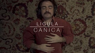 Lígula - Canica (Videoclip oficial)