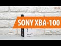 Распаковка SONY XBA-100 / Unboxing SONY XBA-100