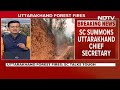 Uttarakhand Fires News | Supreme Courts Tough Words For Centre, Uttarakhand Over Forest Fires - 01:37 min - News - Video
