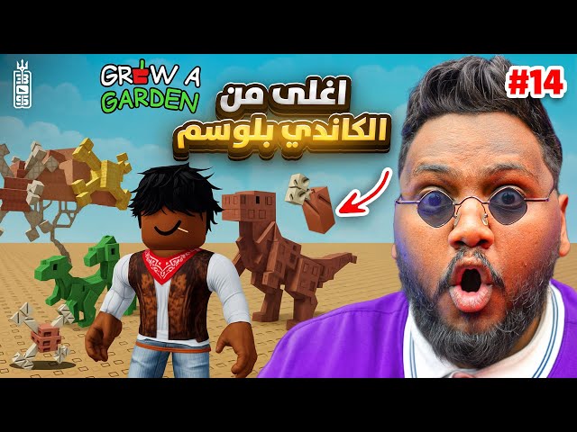 نبته اغلى من الكاندي بلوسم 🔥 شوب جديد سرقني 😱- ماب المزرعة ج 14 - Roblox Grow Garden