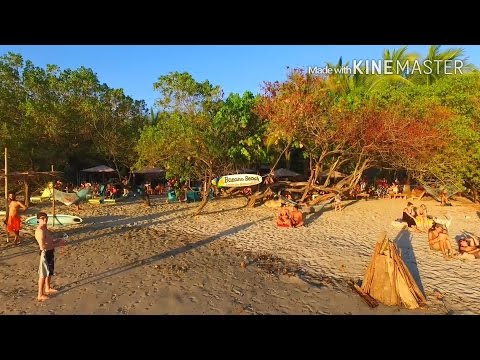 Video realizado por la propiedad