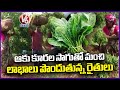 Nalgonda Farmer News : Farmers Are Making Good Profit By Growing Green Vegetables Cultivation | V6