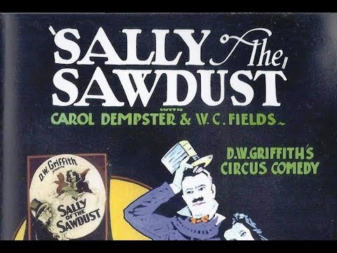 Sally of the Sawdust'