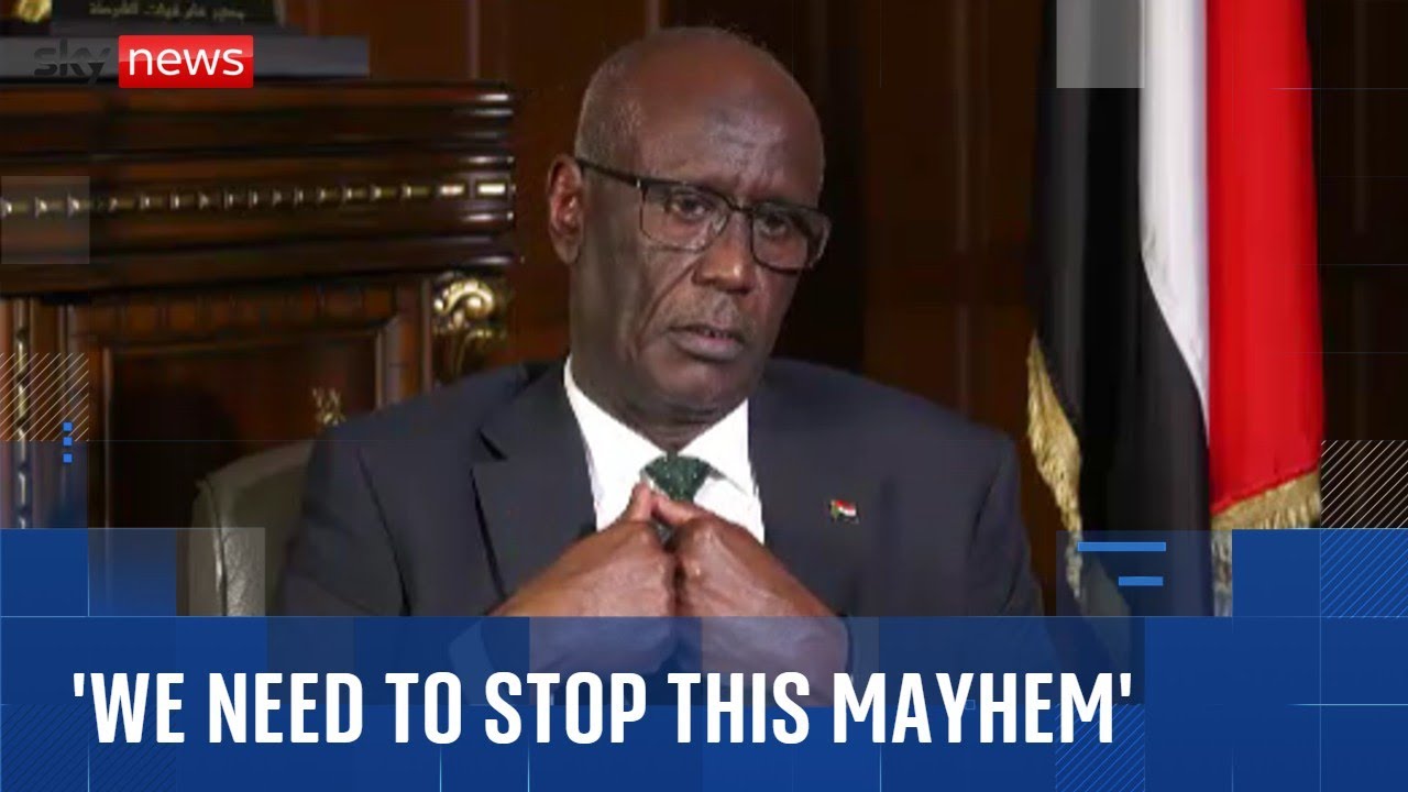 Genocide is unfolding in Darfur, warns Sudanese government - as it calls for the world to act